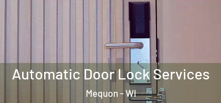 Automatic Door Lock Services Mequon - WI