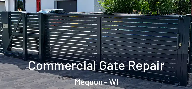 Commercial Gate Repair Mequon - WI