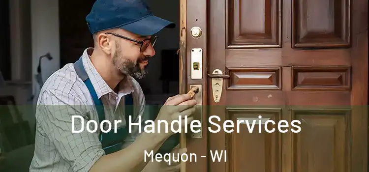 Door Handle Services Mequon - WI