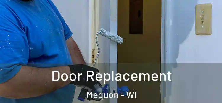 Door Replacement Mequon - WI