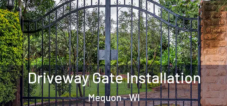 Driveway Gate Installation Mequon - WI