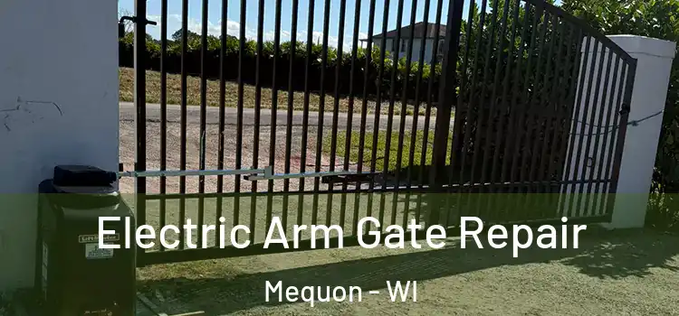 Electric Arm Gate Repair Mequon - WI