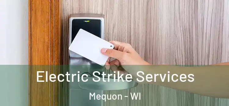 Electric Strike Services Mequon - WI
