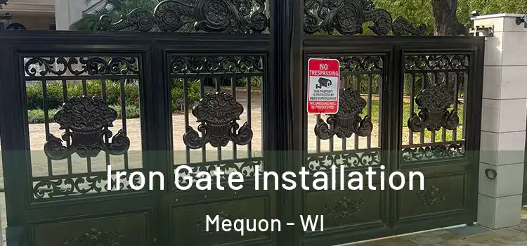 Iron Gate Installation Mequon - WI