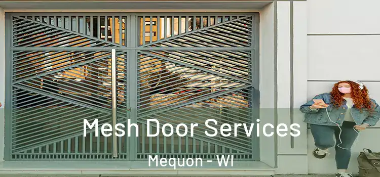 Mesh Door Services Mequon - WI